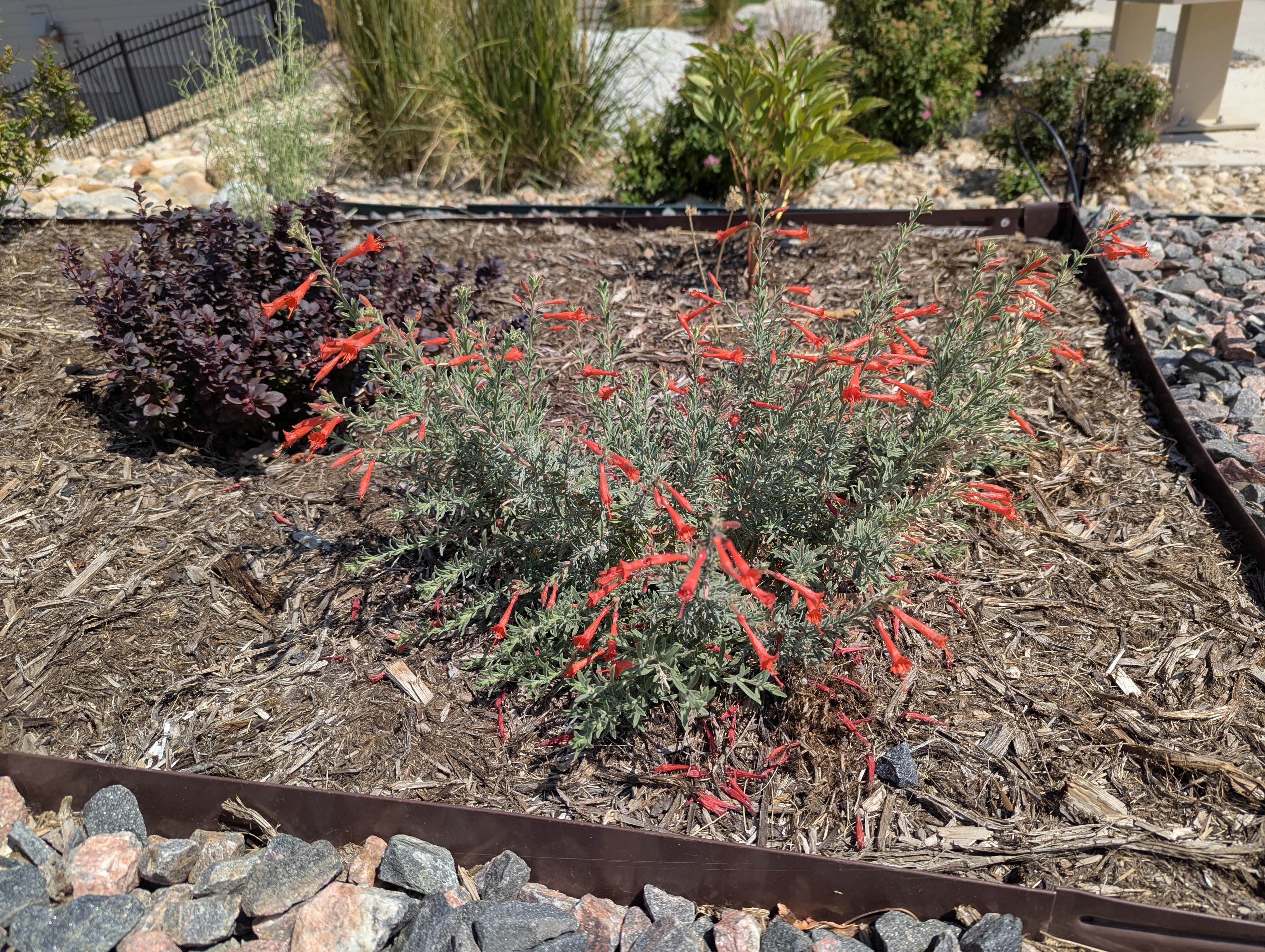Garden, Morrison, Colorado
